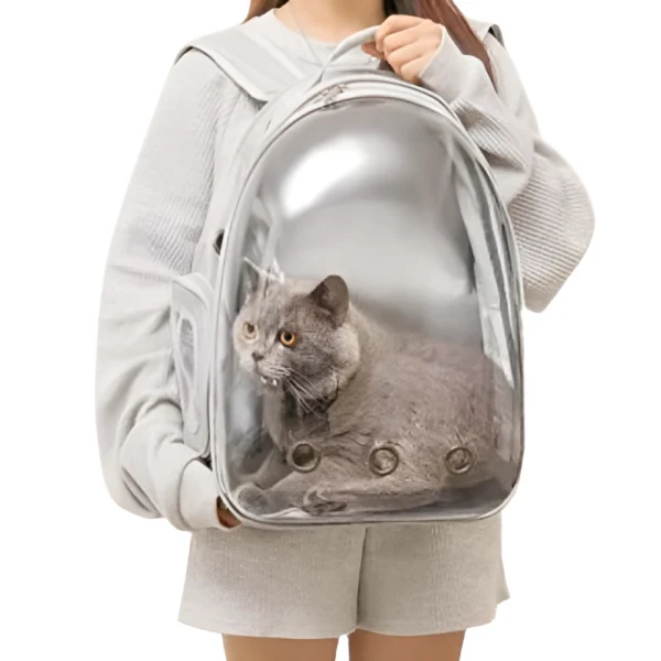 Cages & Travel Carriers (18)-Picsart-AiImageEnhancer