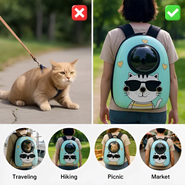 Cages & Travel Carriers (2)-Picsart-AiImageEnhancer