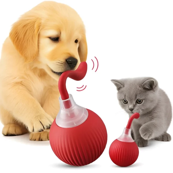 Cages & Travel Carriers (34)-Picsart-AiImageEnhancer