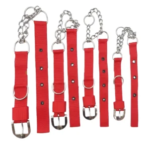 Heavy-Duty Dog Choke Training Collar - 1.25 Inch