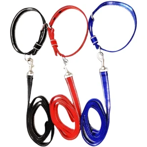 PP Reflective Dog Collar & Matching Leash Set – Medium