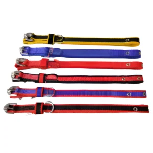 Border Style Dog Collar – 1.5 Inch