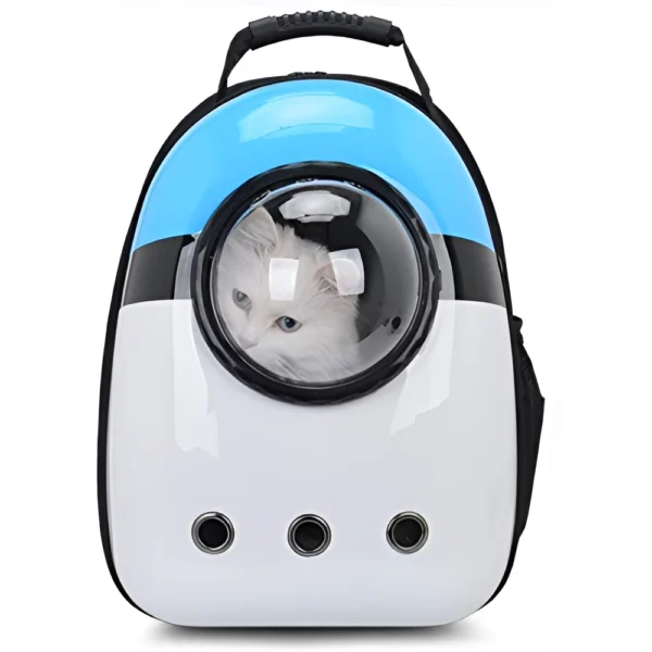 Rajasthan travel package - 2025-12-10T104011,990-Picsart-AiImageEnhancer