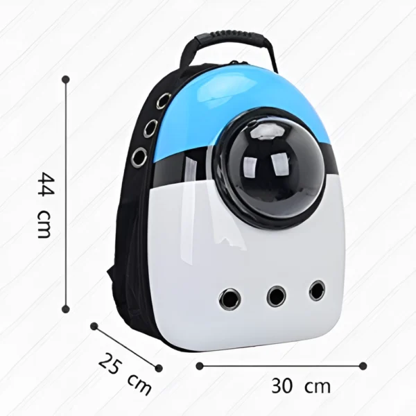 Rajasthan travel package - 2025-12-10T173313,581-Picsart-AiImageEnhancer