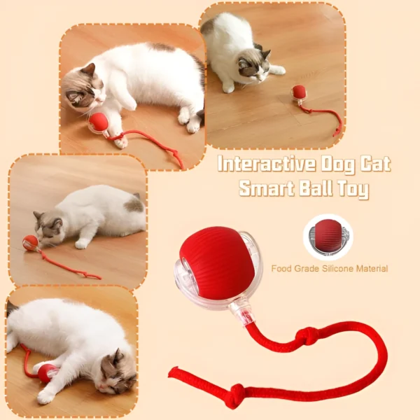 image-Picsart-AiImageEnhancer (25)