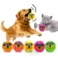 Puppy-Squeaky-Rubber-Interactive-Toy-New-Image-1-150x150-Picsart-AiImageEnhancer