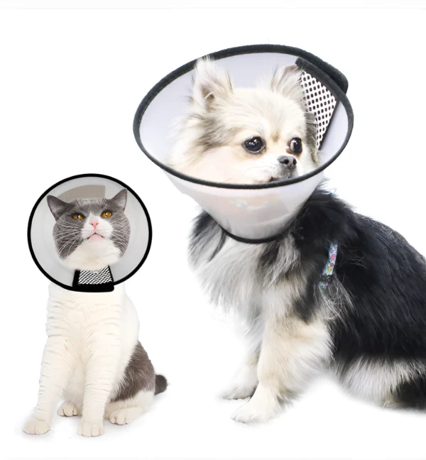 image-Picsart-AiImageEnhancer (71) image-Picsart-AiImageEnhancer (71)